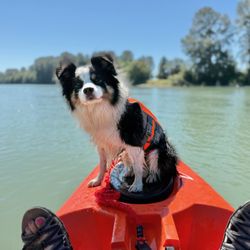 Float Skagit
