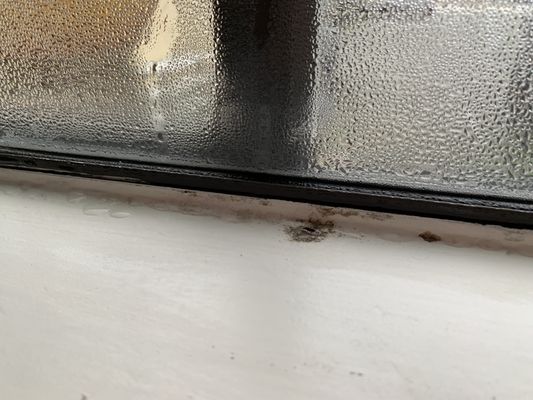 Wave Street Inn by null