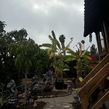 Warung RieRie - Outside the restaurant - Indonesian Near Me Warung RieRie - Outside the restaurant - Indonesian Near Me