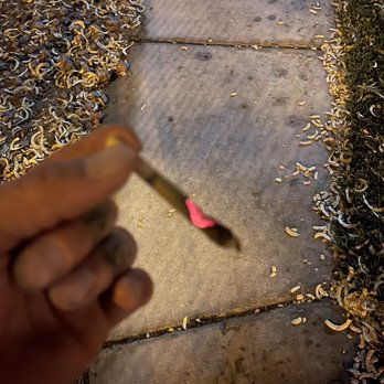 The Dispensary Decatur - Same garbage - Cannabis Dispensaries Near Me - Las Vegas, Nevada The Dispensary Decatur - Same garbage - Cannabis Dispensaries Near Me - Las Vegas, Nevada