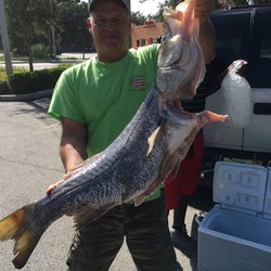 King Pompano Bait and Tackle Shop