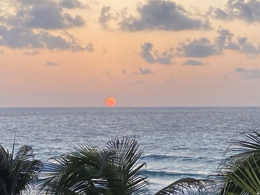 Hard Rock Hotel Cancun by null