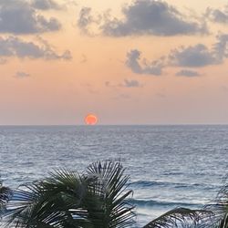 Hard Rock Hotel - Sunrise