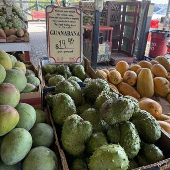 Robert Is Here - Guanabana - Fruits & Veggies Near Me - Homestead, Florida Robert Is Here - Guanabana - Fruits & Veggies Near Me - Homestead, Florida