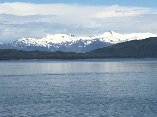 National Shrine of St. Thérèse by null