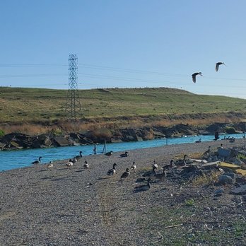 Sunnyvale Bay Trail - Waterbirds - Parks Near Me - Sunnyvale, California Sunnyvale Bay Trail - Waterbirds - Parks Near Me - Sunnyvale, California