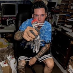 holding woodpecker holding woodpecker