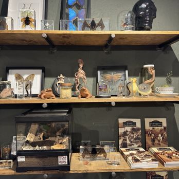 Ginger & Raven - Gift Shops Near Me - Sacramento, California Ginger & Raven - Gift Shops Near Me - Sacramento, California