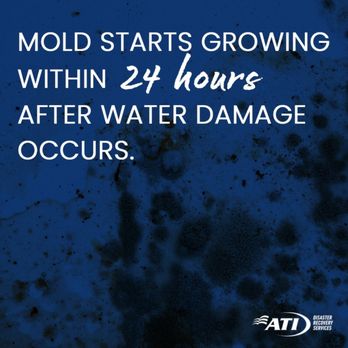ATI Restoration - ATI Restoration - Water, Fire Restoration & Mold Remediation Services - Damage Restoration Near Me - New York, New York ATI Restoration - ATI Restoration - Water, Fire Restoration & Mold Remediation Services - Damage Restoration Near Me - New York, New York