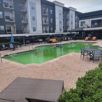 The Grove Chamblee Apartments - Green Pool - Apartments Near Me - Chamblee, Georgia