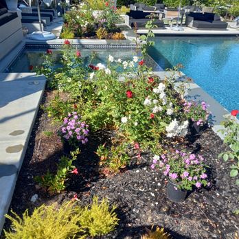 B&P Gardening Tree Service - a pool and landscaping - Tree Services Near Me B&P Gardening Tree Service - a pool and landscaping - Tree Services Near Me