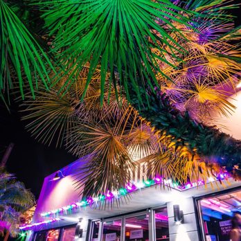 Taco Dirty - Come get dirty with us! - Tacos Near Me - Tampa, Florida Taco Dirty - Come get dirty with us! - Tacos Near Me - Tampa, Florida