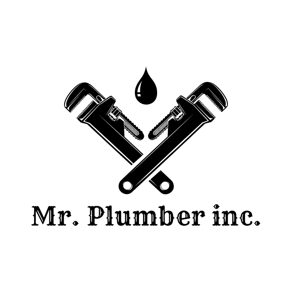 Slide of Mr Plumber