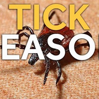 Budget Pest Control - 7 - Pest Control Near Me - Pittsburgh, Pennsylvania Budget Pest Control - 7 - Pest Control Near Me - Pittsburgh, Pennsylvania