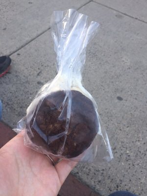 Zsa's Ice Cream by null