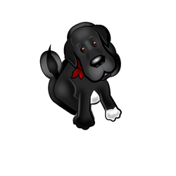 Lucky Dog Marketing - Lucky Dog Marketing Logo