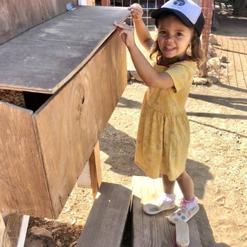 Olivenhain Farms - Community Service/Non-Profit Near Me - Encinitas, California Olivenhain Farms - Community Service/Non-Profit Near Me - Encinitas, California
