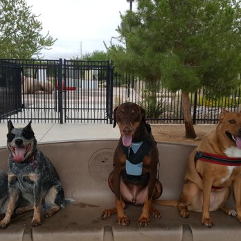 Wolf Gate Pet Services - Pups at the park. - Pet Boarding Near Me Wolf Gate Pet Services - Pups at the park. - Pet Boarding Near Me
