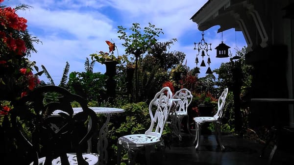 Manoa Valley Inn by null