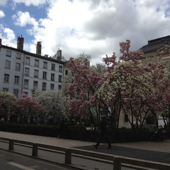 Place des Célestins - La place magnifiée par les magnolias en fleurs - Landmarks & Historical Buildings Near Me