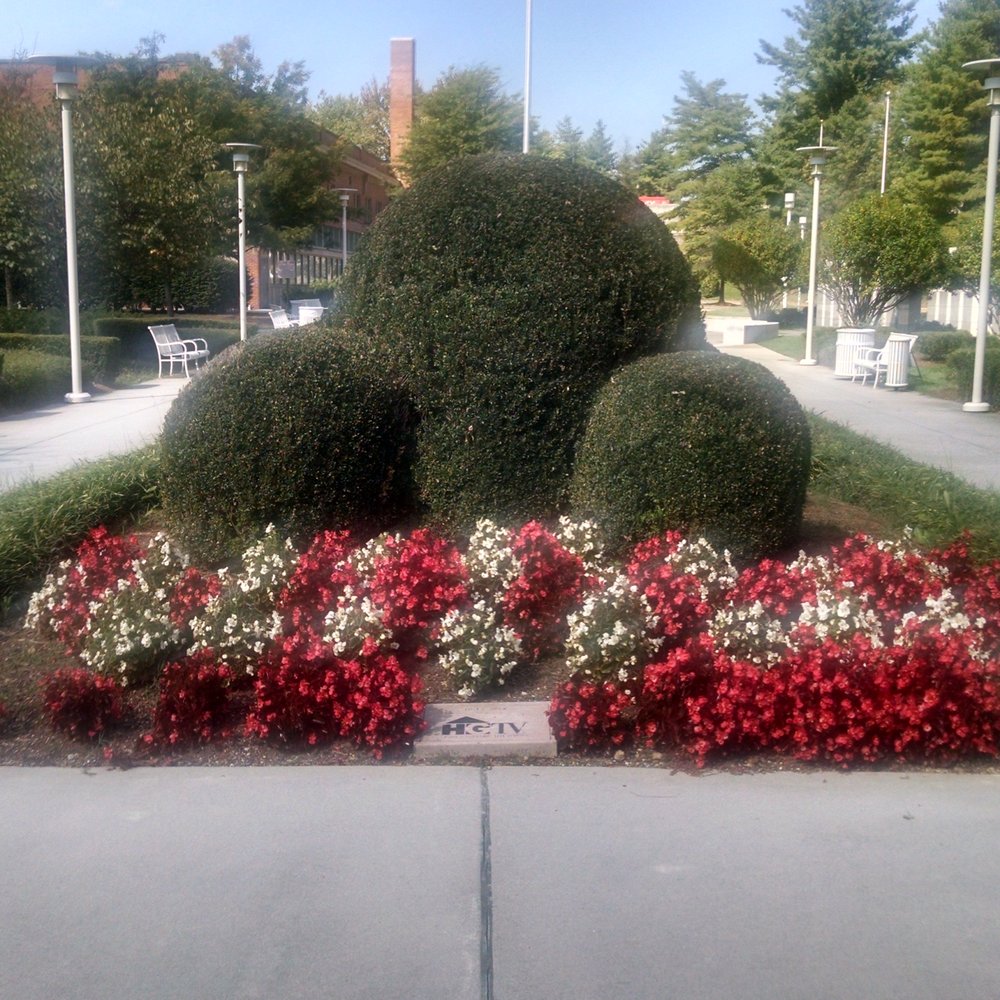 World's Fair Park - Beautiful landscaping. - Parks Near Me - Knoxville, Tennessee