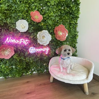 NoNo Pet Grooming - After - Pet Groomers Near Me - Pomona, California NoNo Pet Grooming - After - Pet Groomers Near Me - Pomona, California