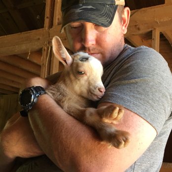 Sunflower Farm Creamery - Hector was such a little snuggle bug!! - Cheese Shops Near Me - Cumberland, Maine