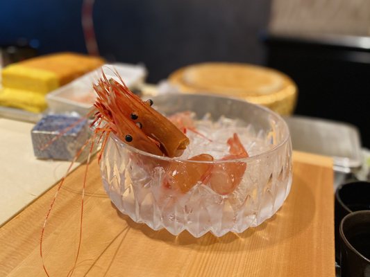 sushi ii by null sushi ii by null