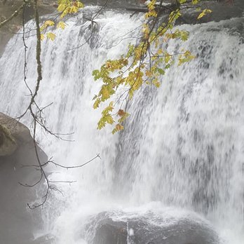 Whatcom Falls Park - Beautiful waterfall with Autumn color! - Dog Parks Near Me - Bellingham, Washington