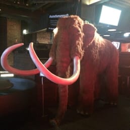 Photo of The Woolly Mammoth Alehouse - The Mammoth of The Woolly Mammoth