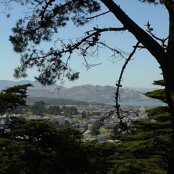 Buena Vista Park - Parks Near Me - San Francisco, California Buena Vista Park - Parks Near Me - San Francisco, California