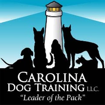 Carolina Dog Training - Pet Training Near Me