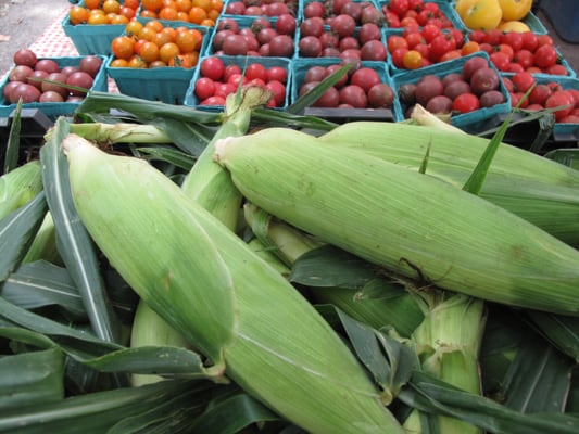 Down to Earth McGolrick Park Farmers Market by null