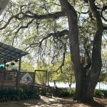 Black Dog Cafe - Beautiful setting - Coffee & Tea Near Me - Tallahassee, Florida