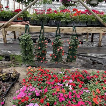 Dunkler's Farm Market - Grow bags - Fruits & Veggies Near Me - Akron, Ohio