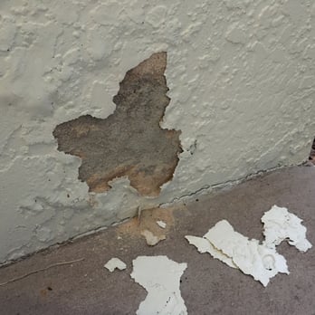 CertaPro Painters of Palm Harbor, FL - Painters Near Me - Port Richey, Florida CertaPro Painters of Palm Harbor, FL - Painters Near Me - Port Richey, Florida