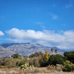 Ojai Meadows Preserve Trail - View from trail