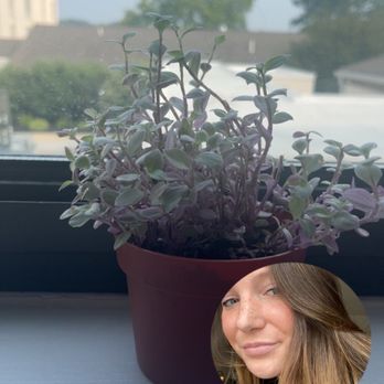 Terrain - Pink lady plant from Terrain and a picture of myself! - Nurseries & Gardening Near Me - Devon, Pennsylvania Terrain - Pink lady plant from Terrain and a picture of myself! - Nurseries & Gardening Near Me - Devon, Pennsylvania