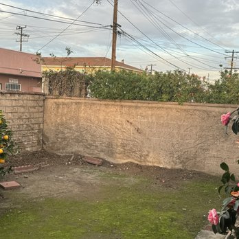 Lopez Landscaping and Gardening - After-no more ivy!!!! - Gardeners Near Me