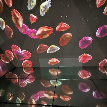 Arte Museum - Art Museums Near Me - Las Vegas, Nevada Arte Museum - Art Museums Near Me - Las Vegas, Nevada