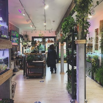The Arium Shop - Vibes - solid selection packed into this store - Aquariums Near Me - Issaquah, Washington The Arium Shop - Vibes - solid selection packed into this store - Aquariums Near Me - Issaquah, Washington