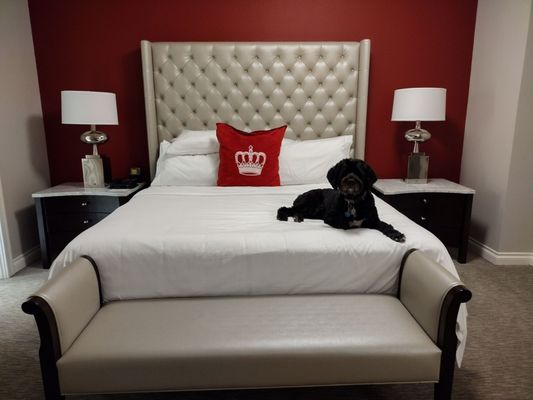 The Omni King Edward Hotel by null