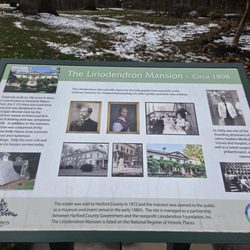 Liriodendron Foundation