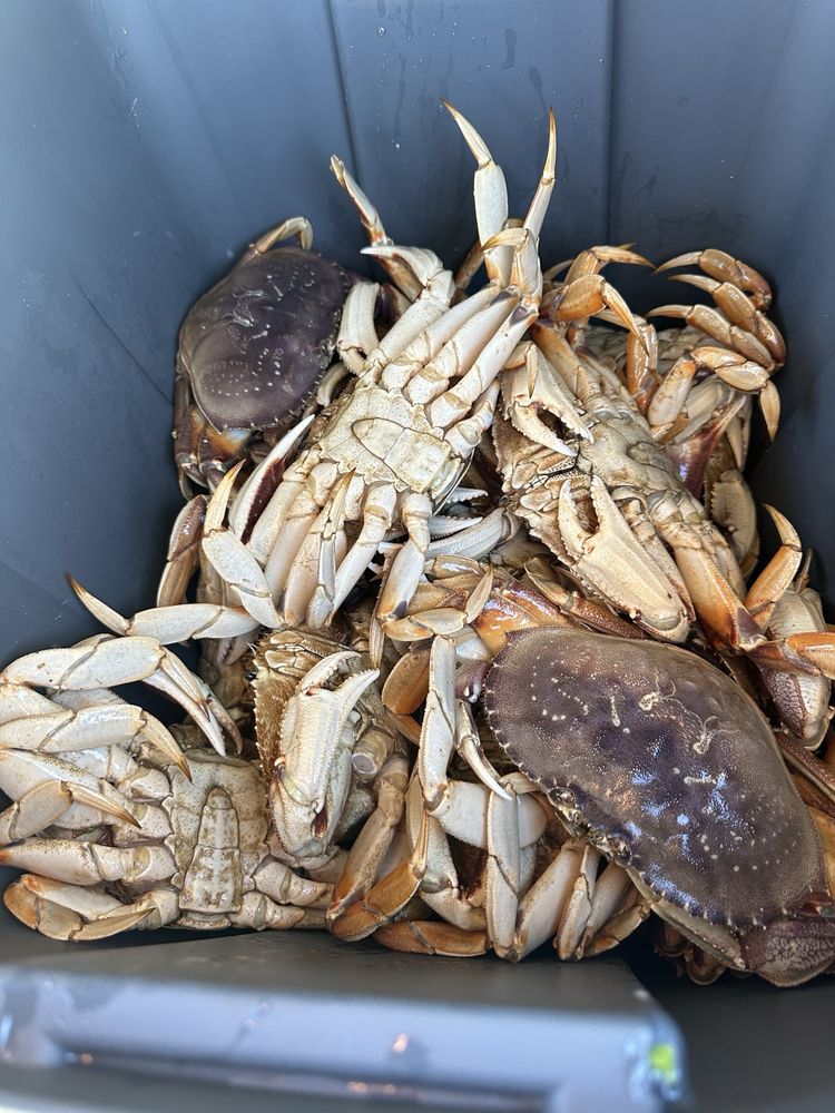 Captain Barry's Seafood Logo