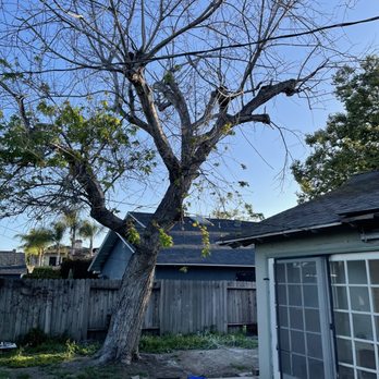 Fnl Landscaping - Landscaping Near Me - Costa Mesa, California
