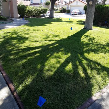 PowerGreen Lawns - a lawn with lawn aerators and a tree in the background - Lawn Services Near Me - Antioch, California PowerGreen Lawns - a lawn with lawn aerators and a tree in the background - Lawn Services Near Me - Antioch, California