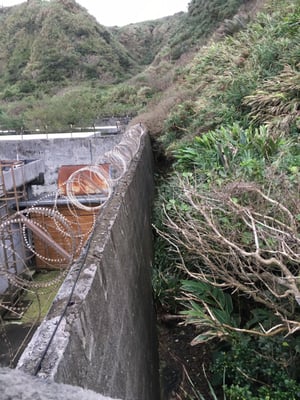 Green Island by null