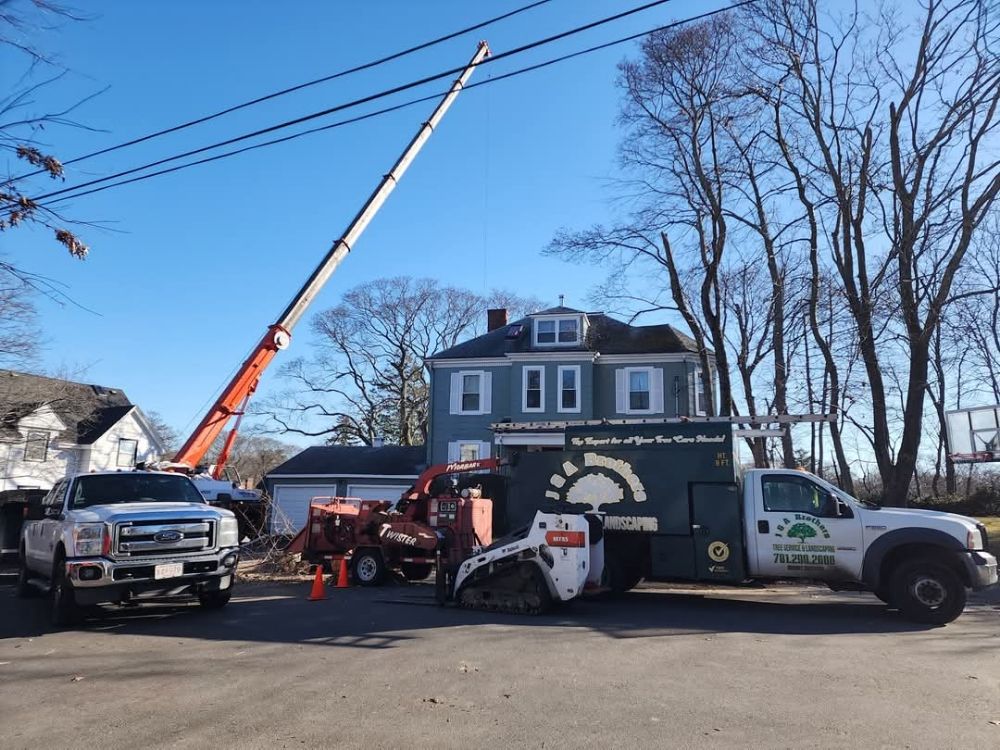 J&A Brothers Tree Service & Landscaping - tree service in Lynn, MA