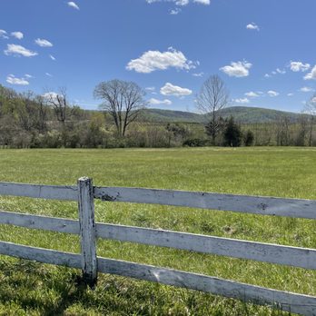 Barboursville Vineyards - Wineries Near Me - Barboursville, Virginia Barboursville Vineyards - Wineries Near Me - Barboursville, Virginia