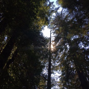 Carson Falls - Hiking Near Me - Bolinas, California